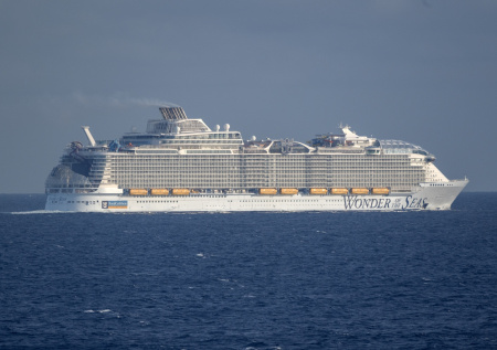 Пассажир лайнера Royal Caribbean впал в буйство после 33 коктейлей и умер