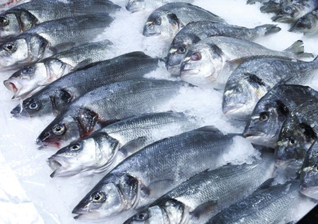 Россия на 10% нарастила экспорт рыбы в одну страну