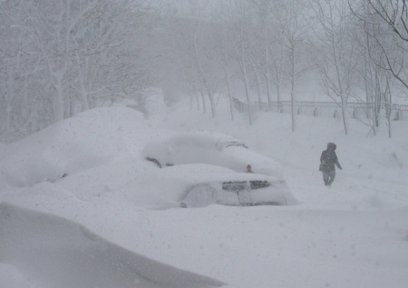 Снегопад парализовал Петропавловск-Камчатский