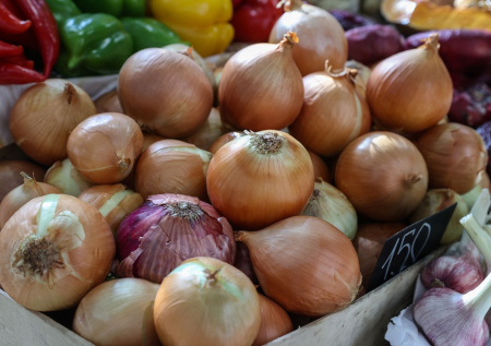 Простой способ увеличить приживаемость черенков в разы: природный стимулятор из луковой и чесночной шелухи