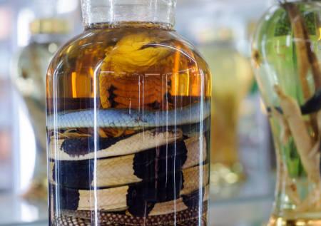 У россиянки в аэропорту нашли экзотический напиток с мертвой коброй