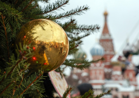 Стало известно, когда главную новогоднюю елку страны доставят в Кремль