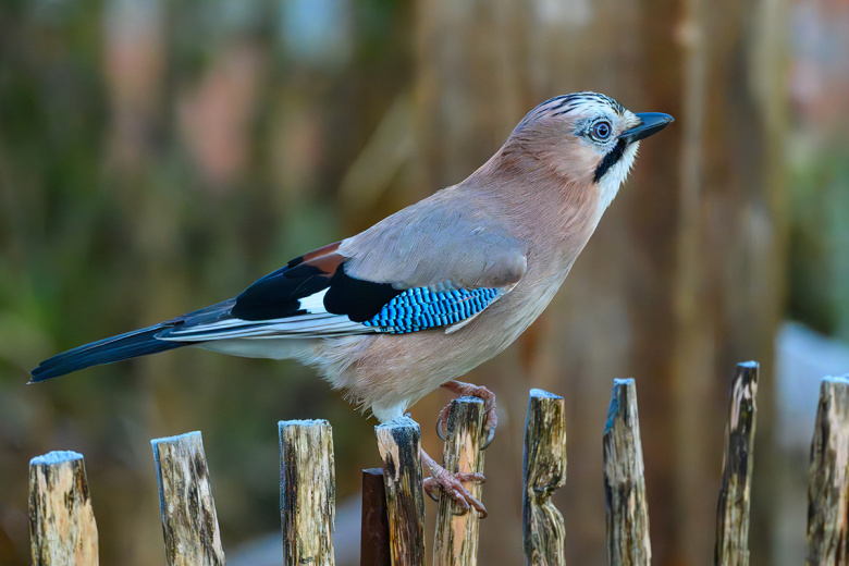 Приметы на 11 декабря