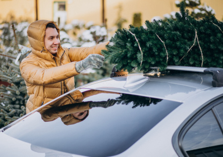 Юрист ответил, что грозит за неправильную перевозку елки на автомобиле
