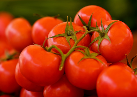 Томат, который удивит и урожаем, и красотой: почему «Каскад рябиновый» стоит посадить даже новичку и как получить максимум плодов