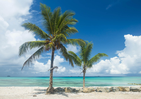 Названа самая непопулярная пляжная страна в мире