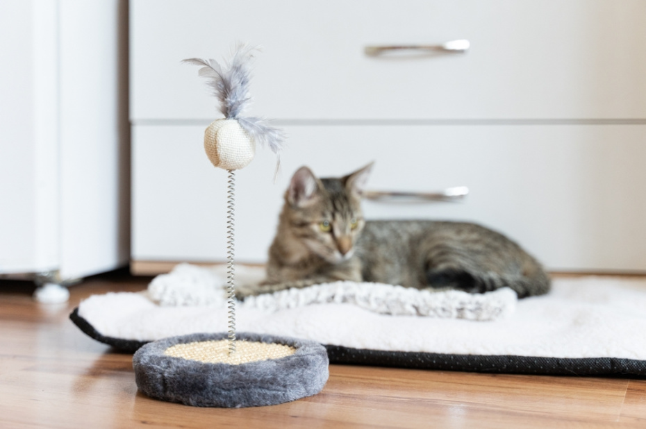 Интерактивные неваляшки и мячи с «хвостом»