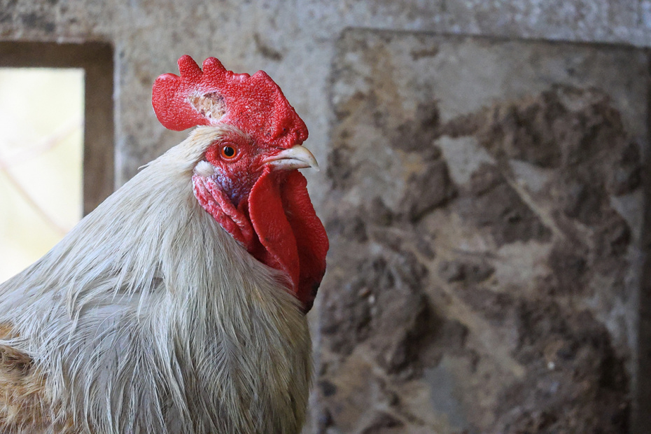 Народные приметы на 13 декабря