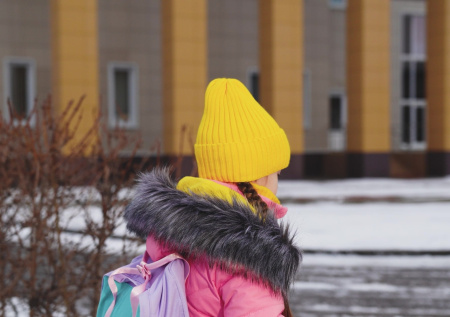 Адвокат раскрыл, может ли школа заставить ребенка убирать снег