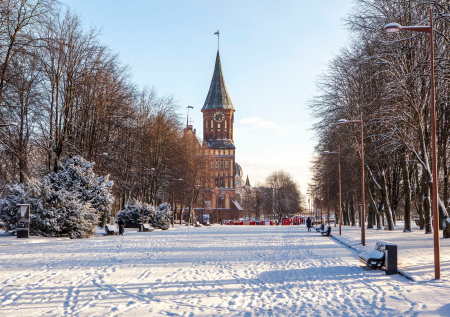 «Их сожрут»: депутат об угрозах Польши уничтожить Калининград