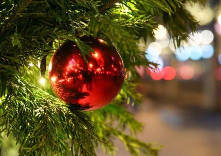 Главная елка Саратова рухнула