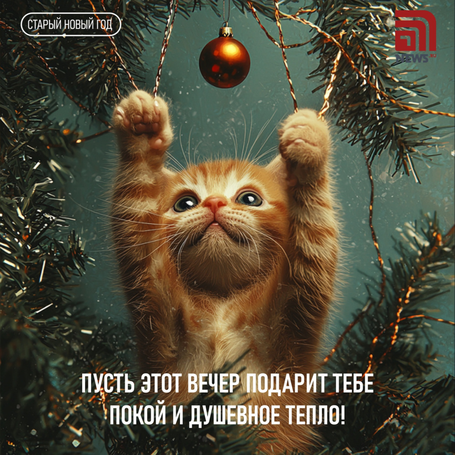 Пусть этот вечер подарит тебе покой и душевное тепло