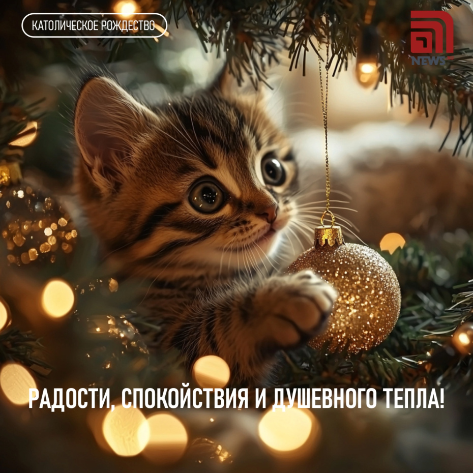 Радости, спокойствия и душевного тепла!