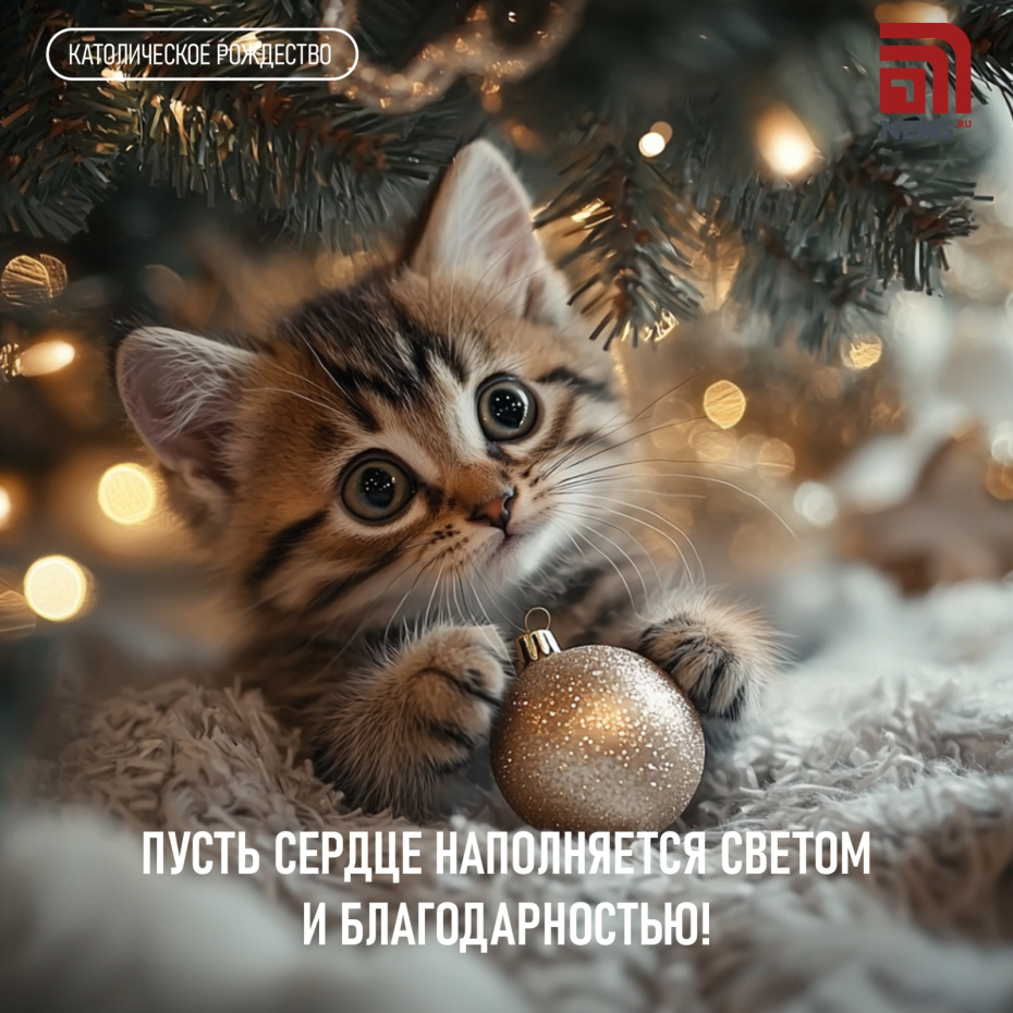 Пусть сердце наполняется светом и благодарностью