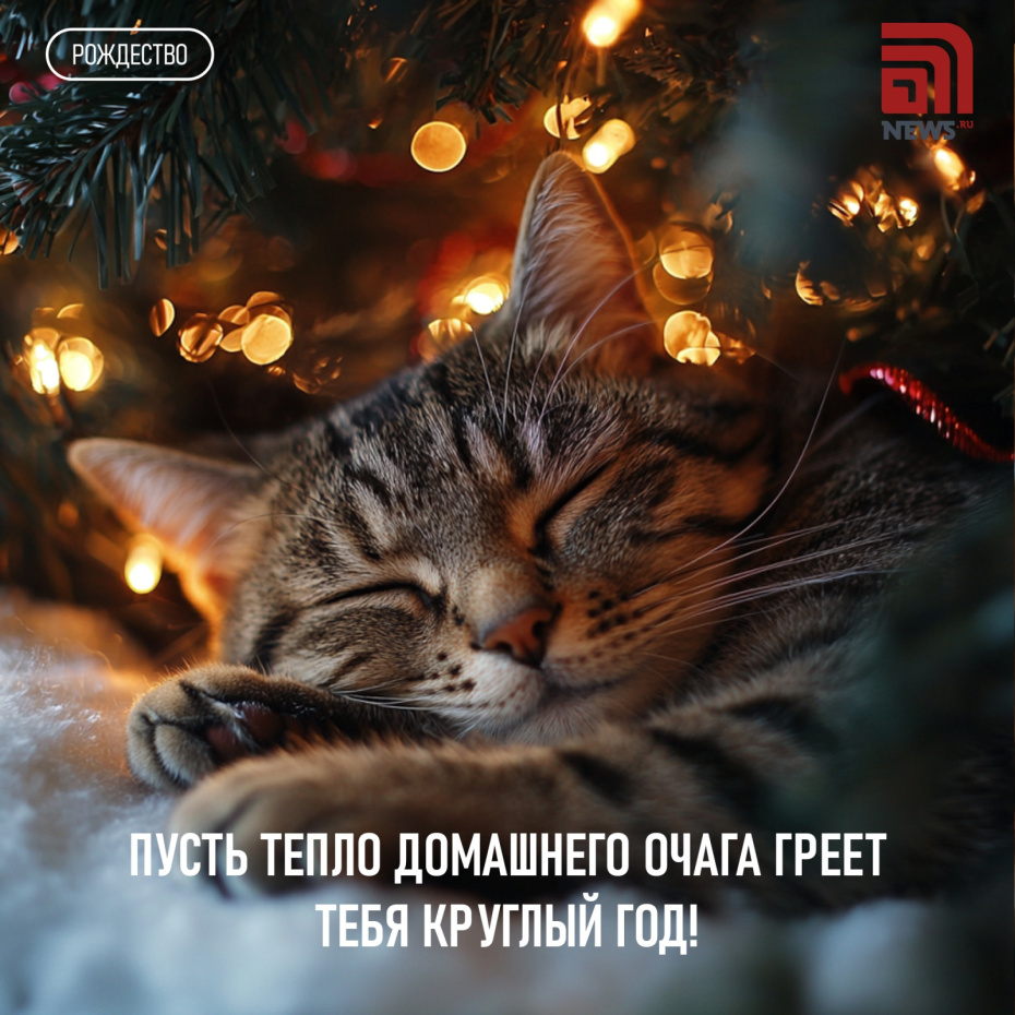 Пусть тепло домашнего очага греет тебя круглый год