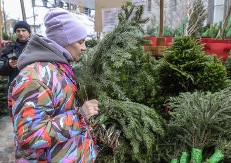 Биолог раскрыла, чем опасна установка дома живой елки