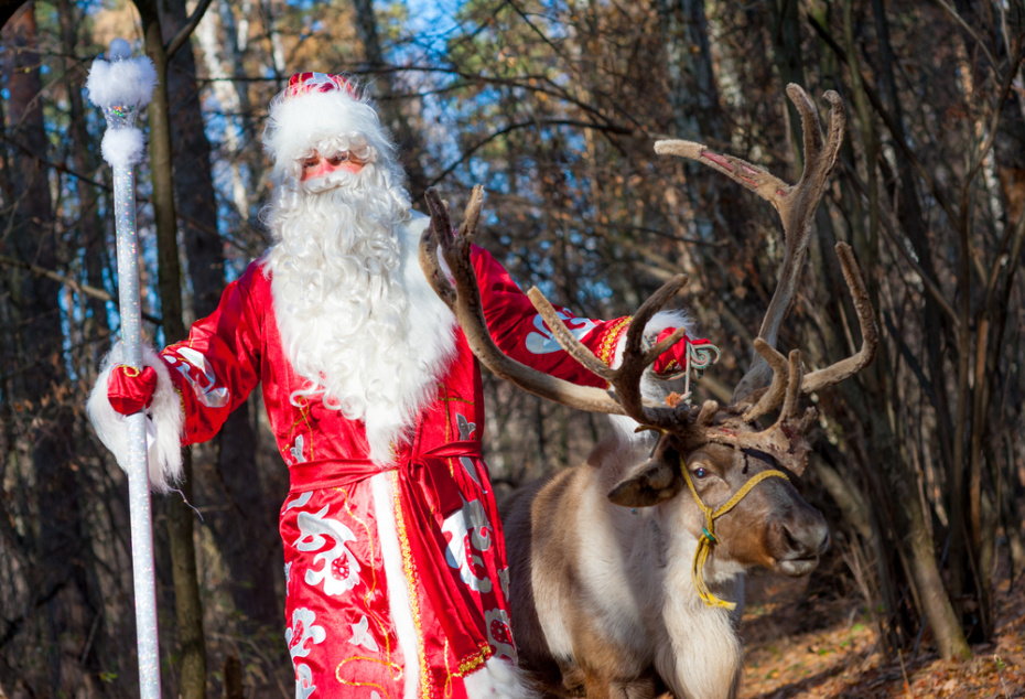 Эволюция Деда Мороза: как языческий дух превратился в главного волшебника страны