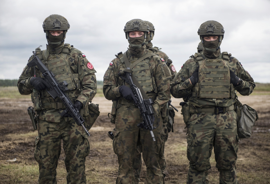 Польские войска