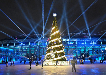 Шоу Навки, квесты, пряники: куда пойти с детьми в новогодние праздники