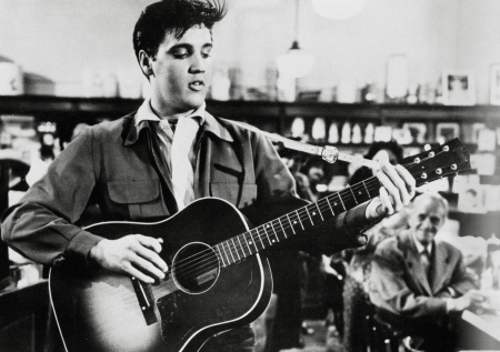 В США раскрыли, что связывает Элвиса Пресли и мигрантов