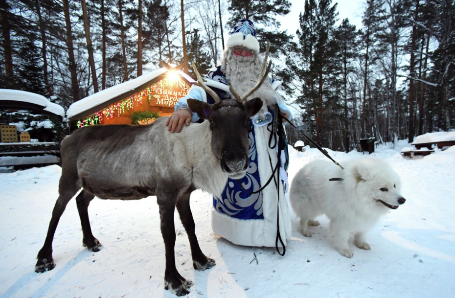 Дед Мороз с северным оленем в день зимнего солнцестояния