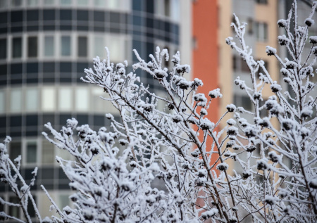 Приметы 17 декабря — Варварины морозы: ищем суженого-ряженого!