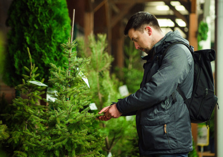 Юрист ответил, чем грозит перевозка живой елки в общественном транспорте