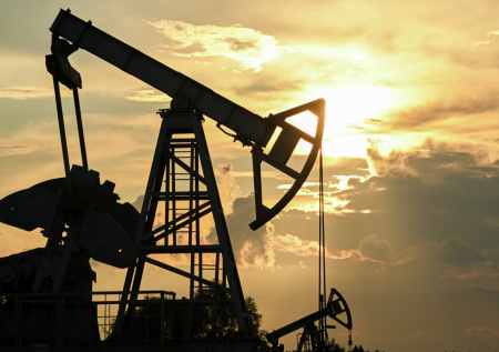 Стало известно, почему российский бизнес выбирает Ближний Восток