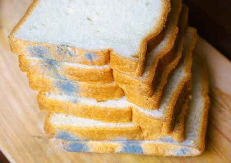 Россиян предупредили об опасности продуктов с плесенью