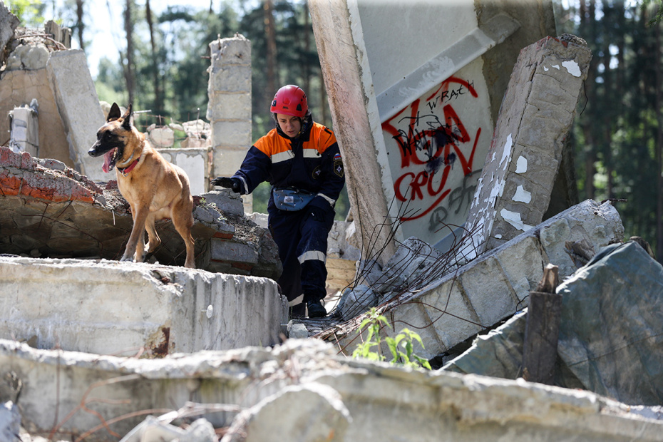 Животные в МЧС: четвероногие спасатели