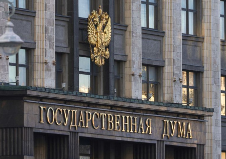 Госдума в первом чтении приняла закон об отмене деклараций