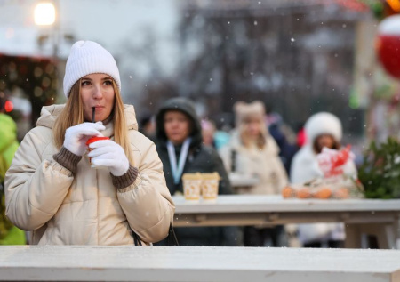 Погода в Москве в среду, 17 декабря: снег в столице не предвидится?