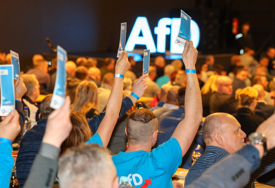 Саксония-Анхальт, Магдебург. Делегаты голосуют на конференции партии «Альтернатива для Германии» (AfD)