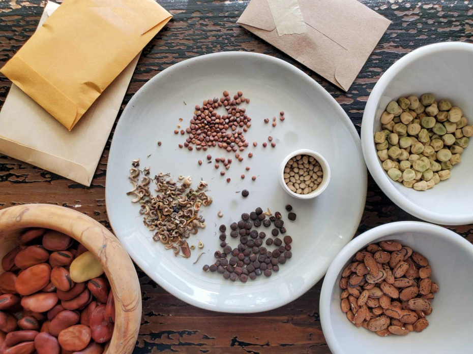 Работы в саду в январе: что сделать в самый холодный месяц