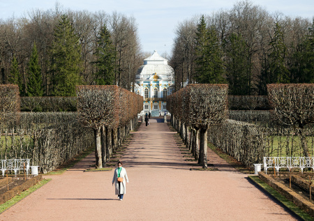 Какой сегодня день? Праздники и памятные даты 11 января 2026 года