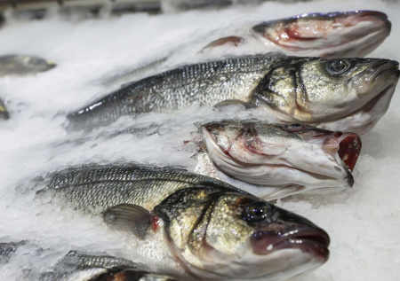 Евросоюз не смог помешать сотрудничеству России и Норвегии в рыболовстве