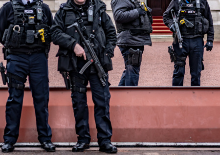 Садовый забор помог полицейским задержать грабителя