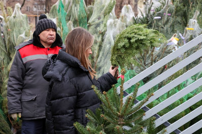 Как выбрать живую елку (и елка ли это?): гид по сортам и свежести