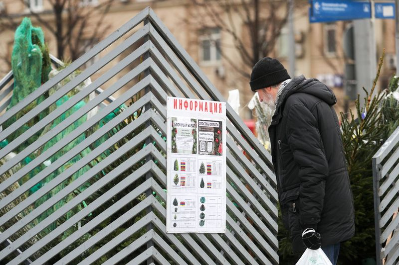 Как выбрать живую елку (и елка ли это?): гид по сортам и свежести