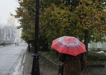 Дом статского советника Максимова под Петербургом обрел особый статус