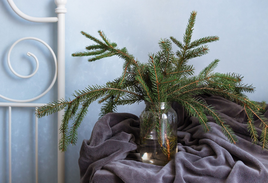 Как выбрать живую елку (и елка ли это?): гид по сортам и свежести