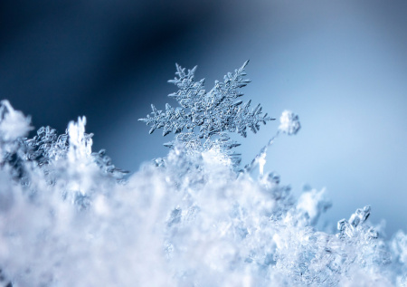 В Сети появилось видео «ледяного панциря» в пустыне Саудовской Аравии