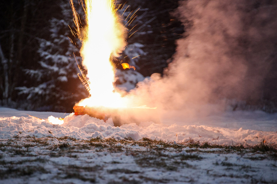 Как помочь собаке в новогоднюю ночь