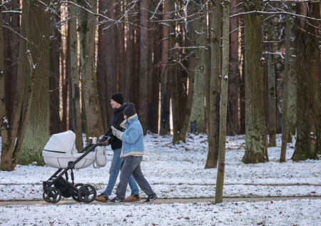 В Госдуме поддержали призыв Путина расширить меры поддержки семей