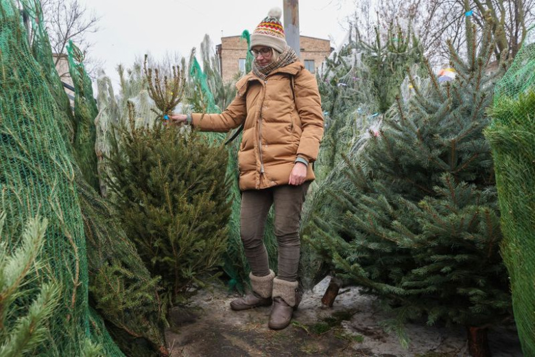 Как выбрать живую елку (и елка ли это?): гид по сортам и свежести