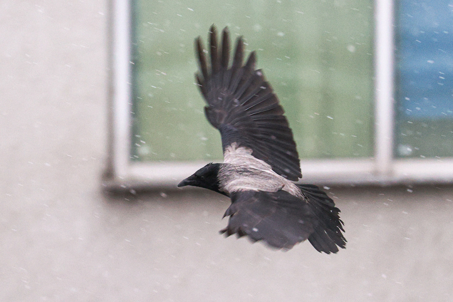 Погодные приметы