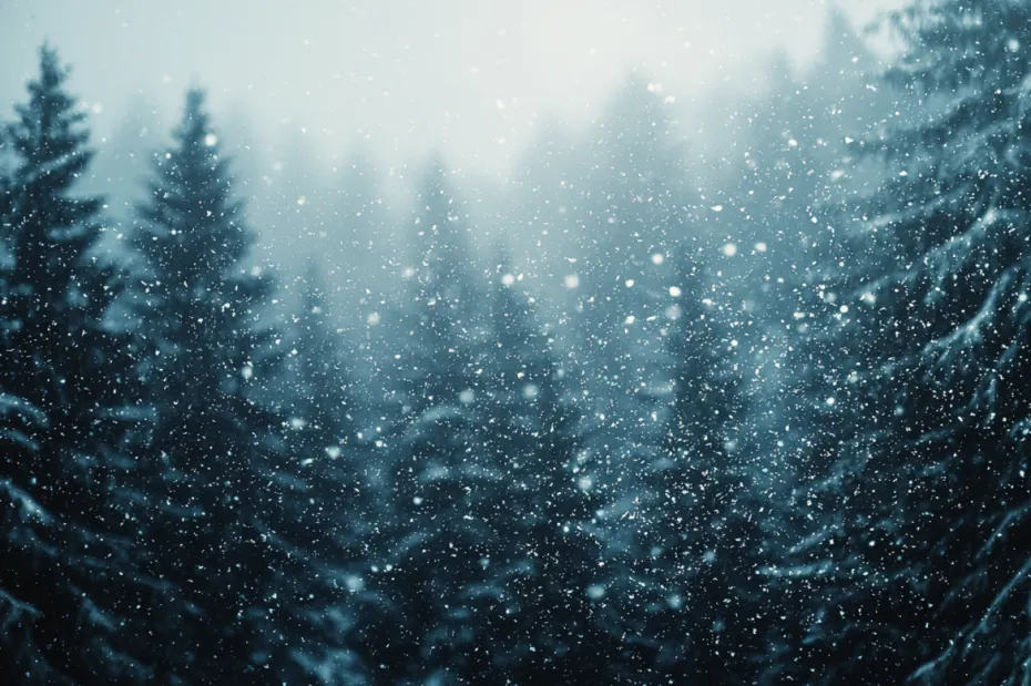 Погода по приметам 30 декабря