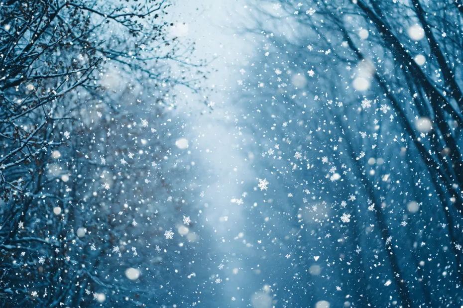 Приметы о погоде 28 декабря