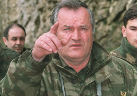 Семья генерала Младича потребовала его срочного лечения вне тюрьмы