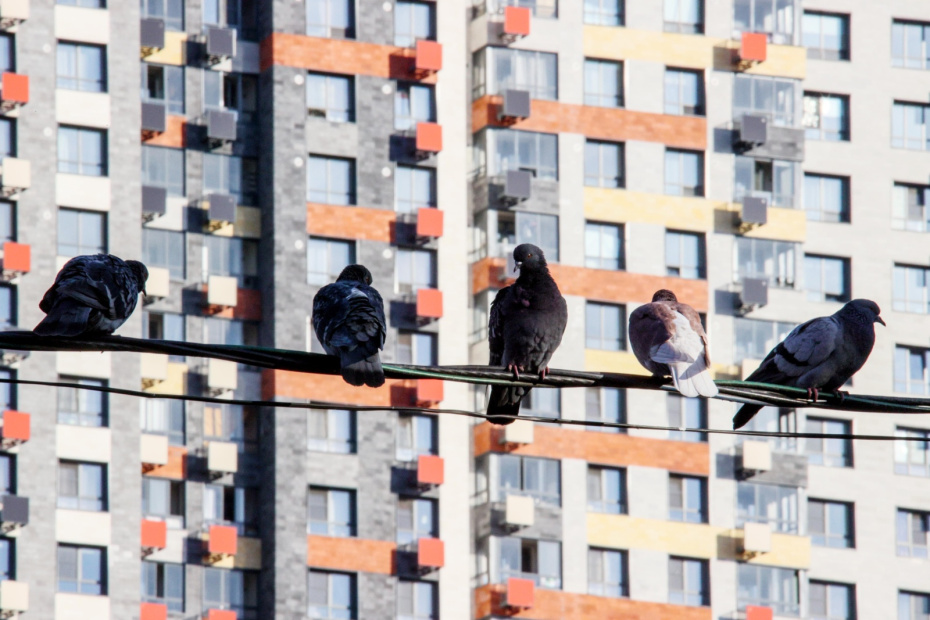 Плюсы новостроек